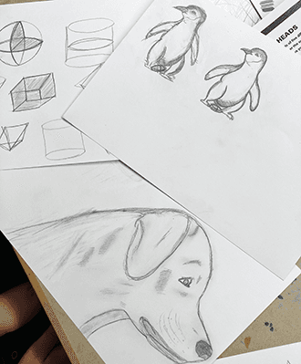 kurs bild