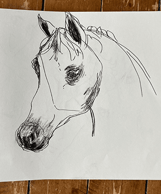 kurs bild